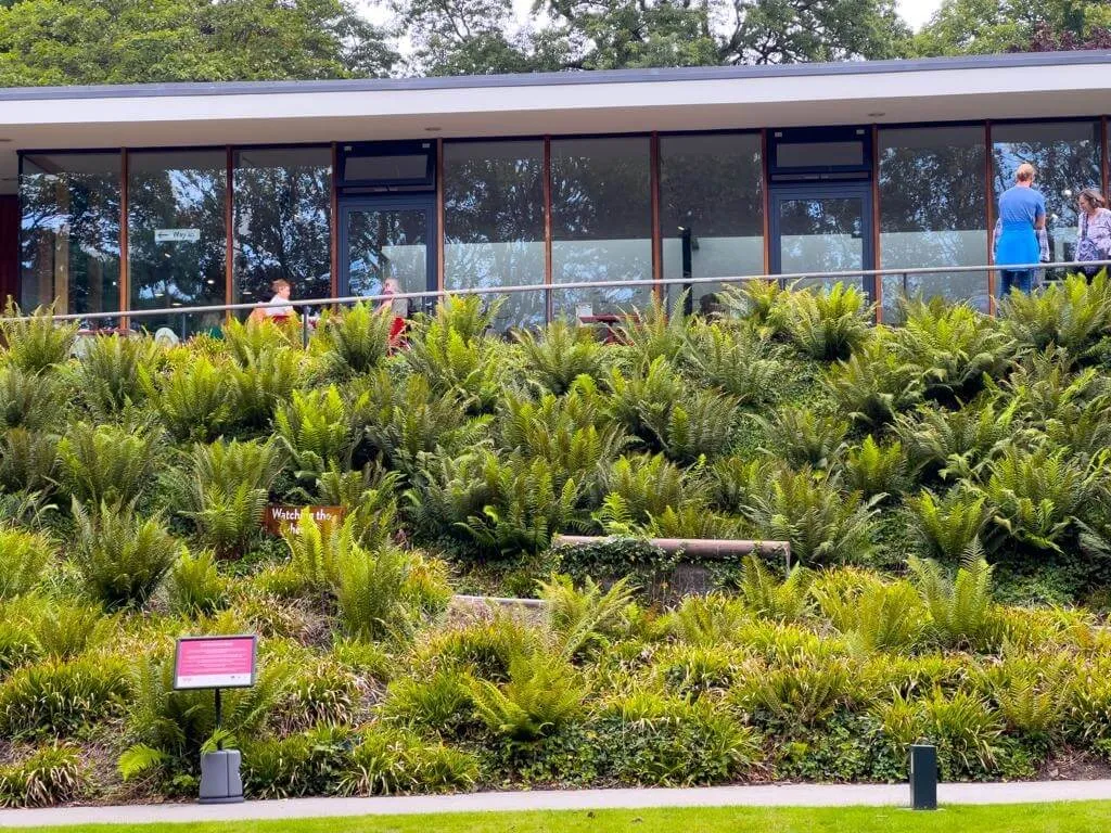 Tour image